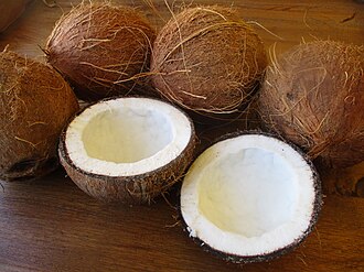 la noix de coco