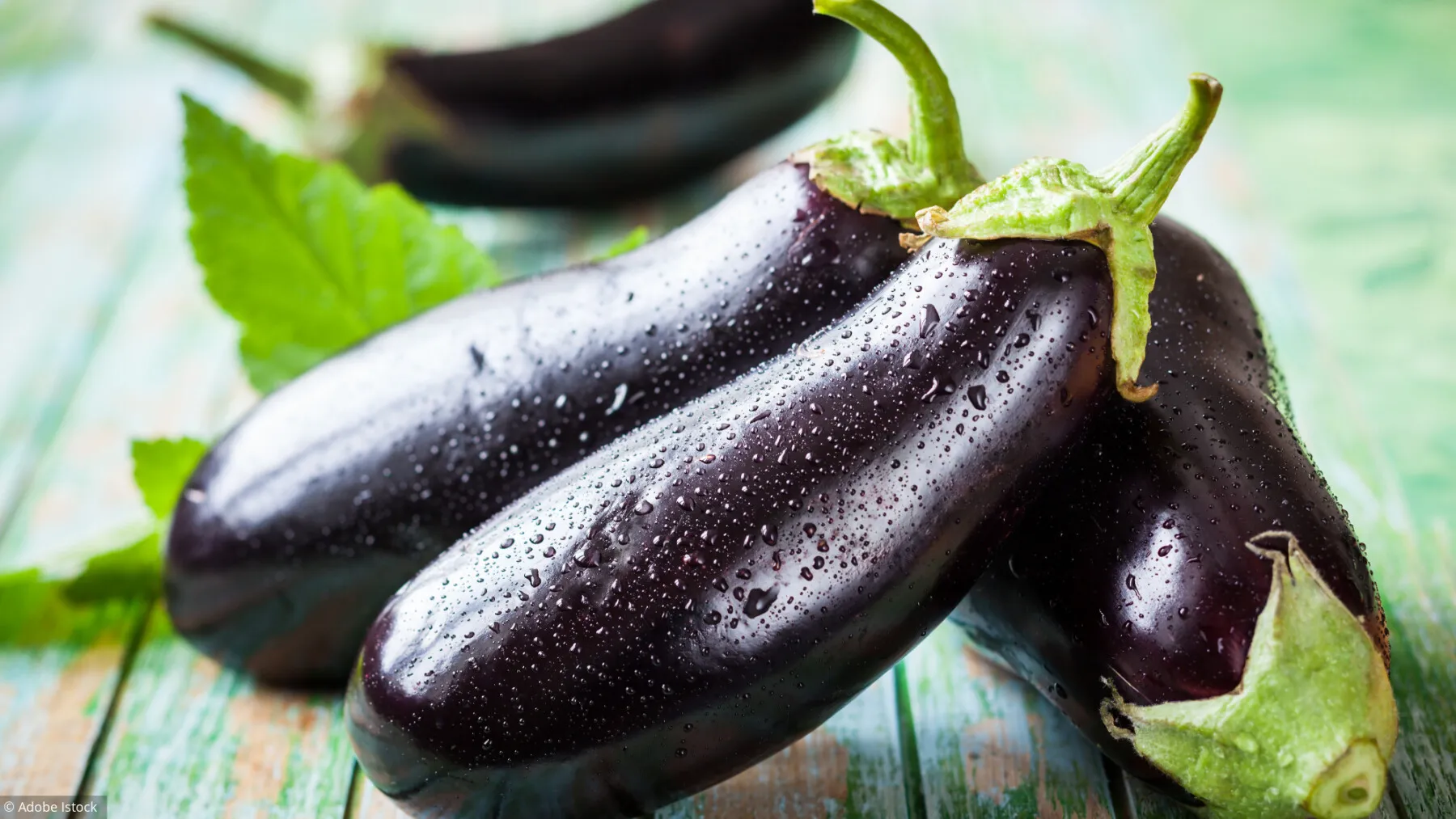 l’aubergine